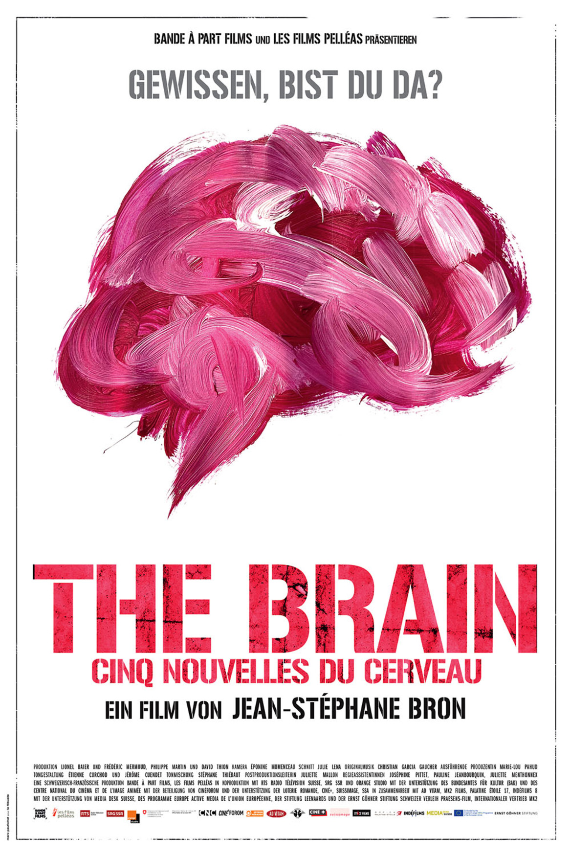 THE BRAIN – CINQ NOUVELLES DU CERVEAU