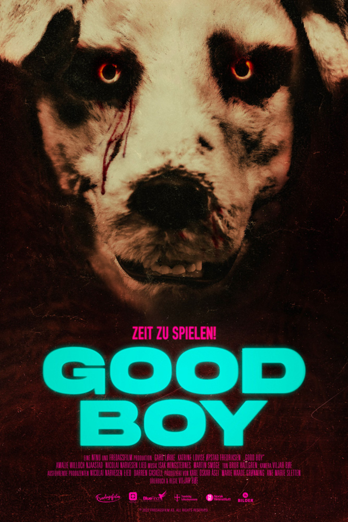Good boy