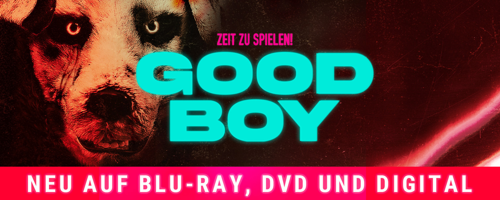 Good boy