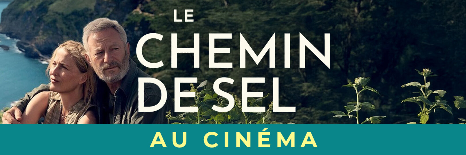 LE CHEMIN DE SEL