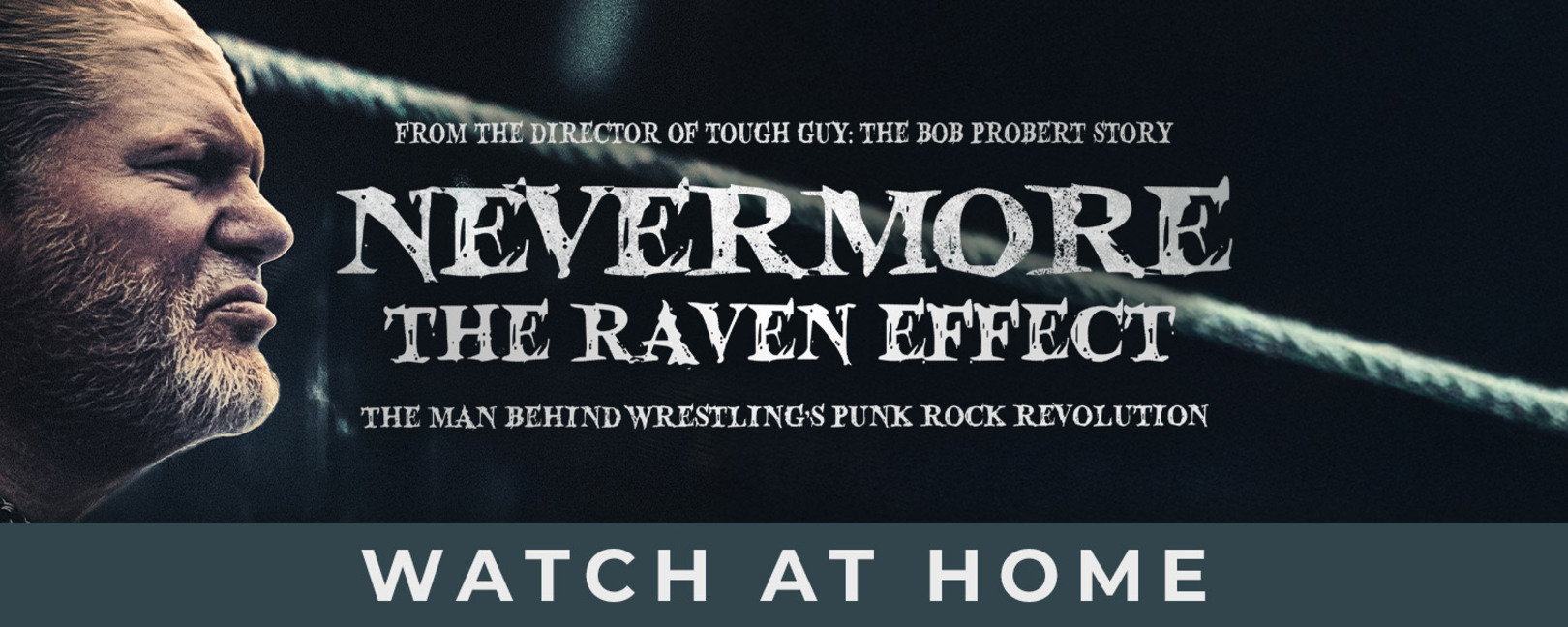 Nevermore: The Raven Effect