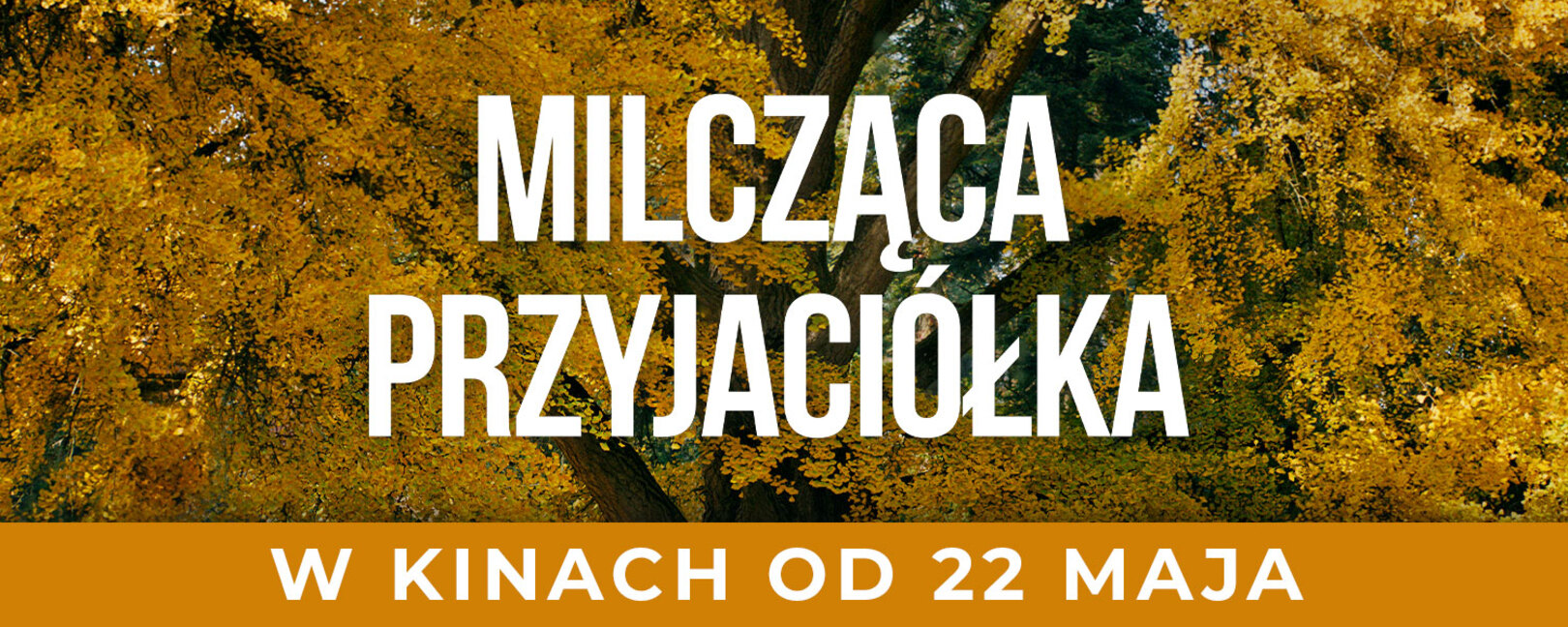 MILCZACA PRZYJACIOLKA